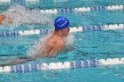 Swimming & Diving vs Babson  Swimming & Diving vs Babson College. - Photo by Keith Nordstrom : Wheaton, Swimming